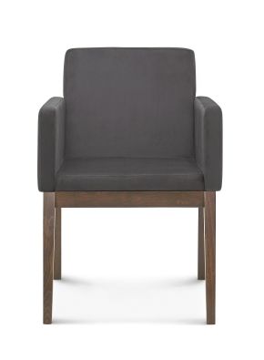 BENTWOOD ARMCHAIR B-1228