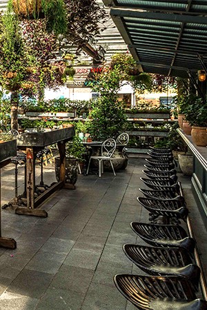 THE POTTING SHED THE GROUNDS OF ALEXANDRIA